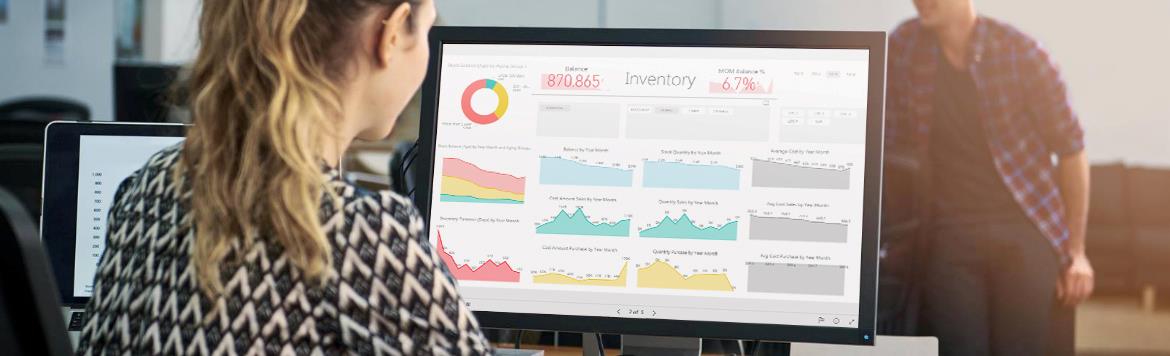 <p>In order to give users the best Power BI experience, BI4Dynamics has developed a set of Power BI reports based on BI4Dynamics data warehouse</p>
