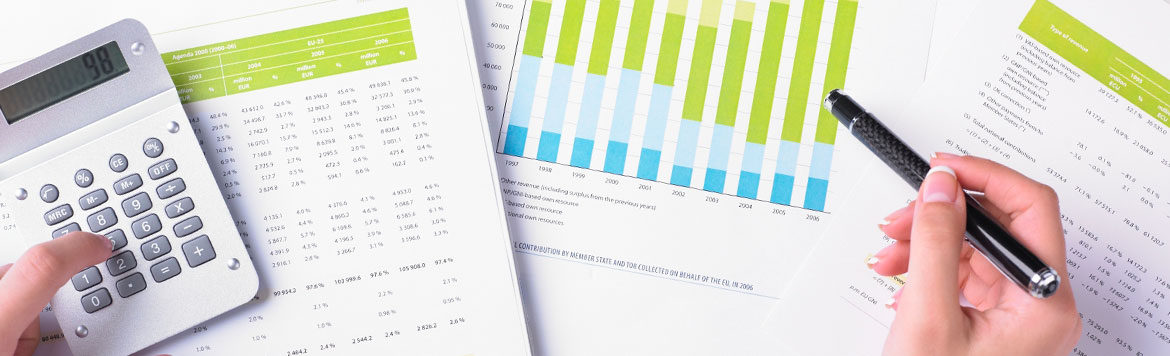 <p><b>Financial tasks</b></p>
<p>Transparent and efficient solution to ensure the least possible margin of error for your financial and accounting tasks</p>