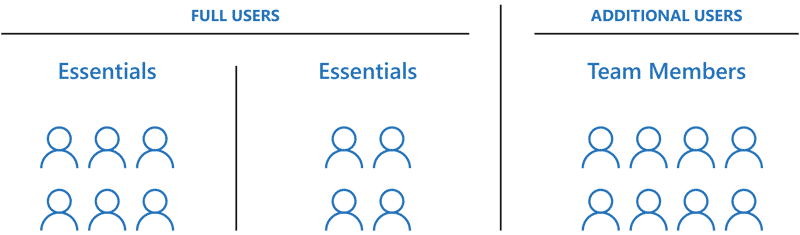 Business Central license model