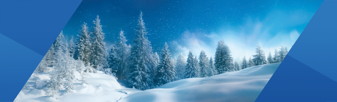 <p>Stor tak til b&aring;de kunder og forretningspartnere for et godt 2025</p>
